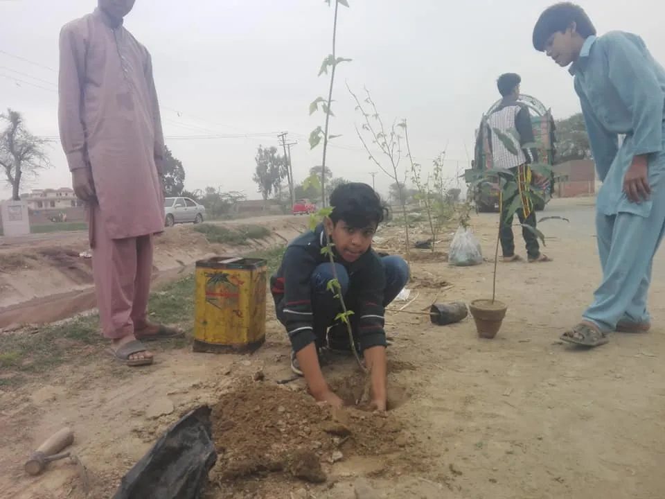 Green Seekers Activity